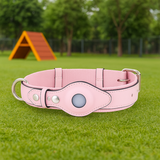 Collar Para Perro AirTag Ajustable